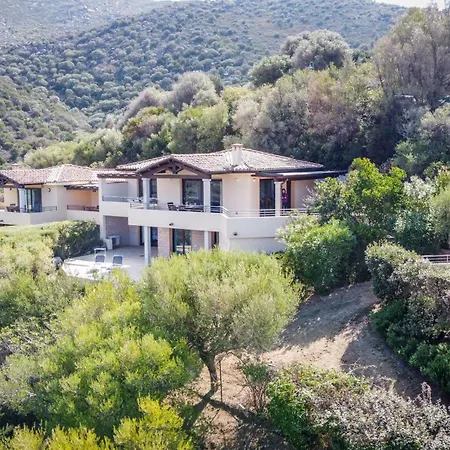Filbertina Terra Mala